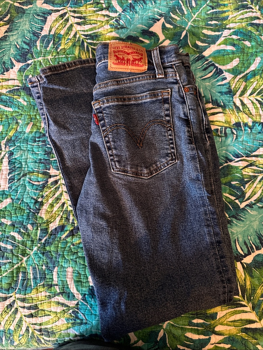 Levi's Women’s 25 Blue Wedgie Straight Jeans